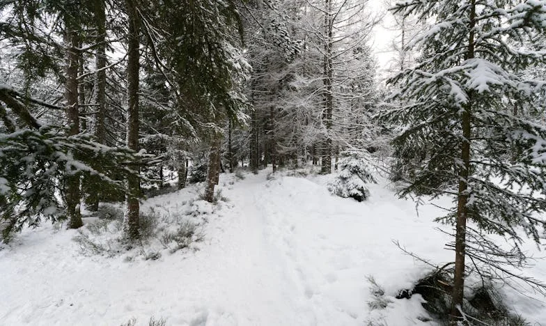 Geloven tussen de Scherven: Mijn Weg door een Familiedrama
