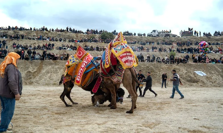 Het fluisteren van verraad: Een moeder verscheurd tussen waarheid en gezin