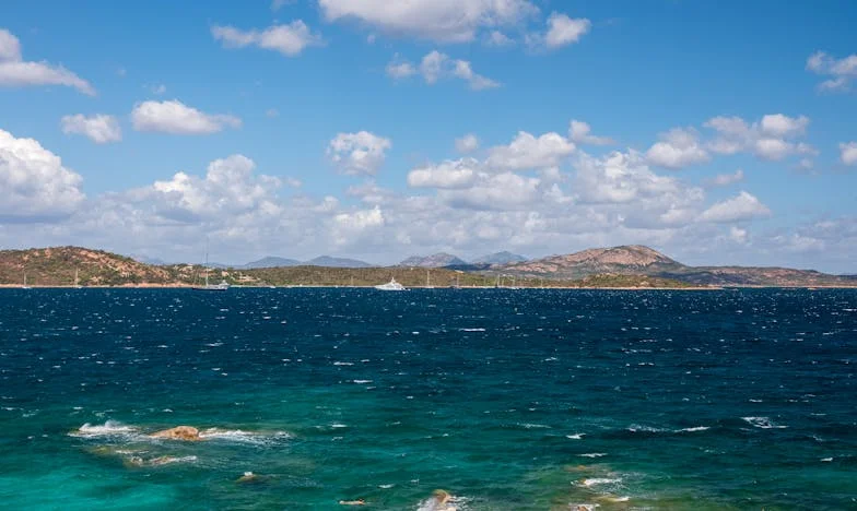 Je hebt een maand om mijn huis te verlaten! – zei mijn schoonmoeder