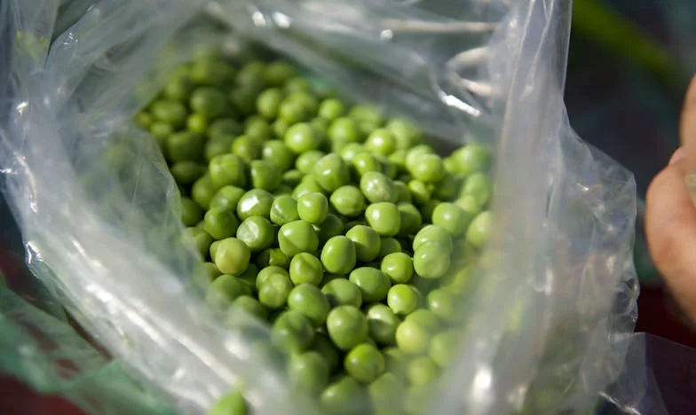 ‘Laat je ex maar voor je kinderen betalen,’ zei mijn man: Hoe wij als patchwork-gezin onze weg vonden