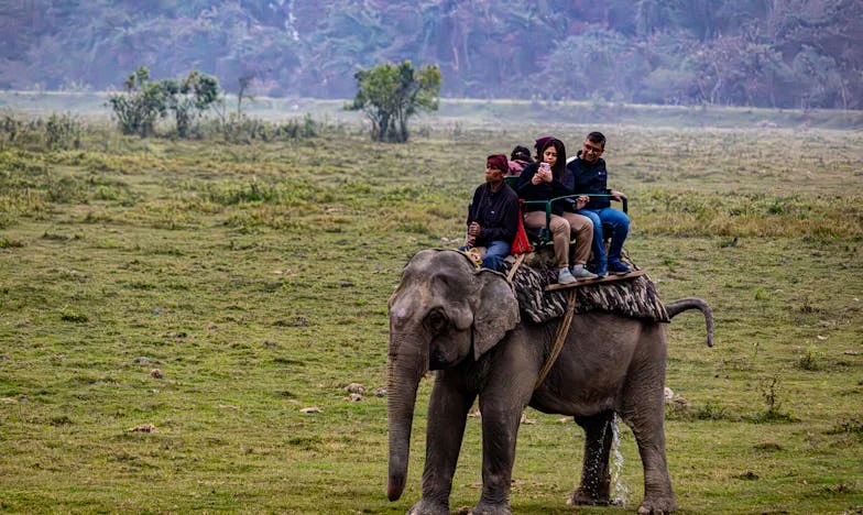 Mijn moeder, mijn thuis: Waar eindigt bloed en begint vergeving?