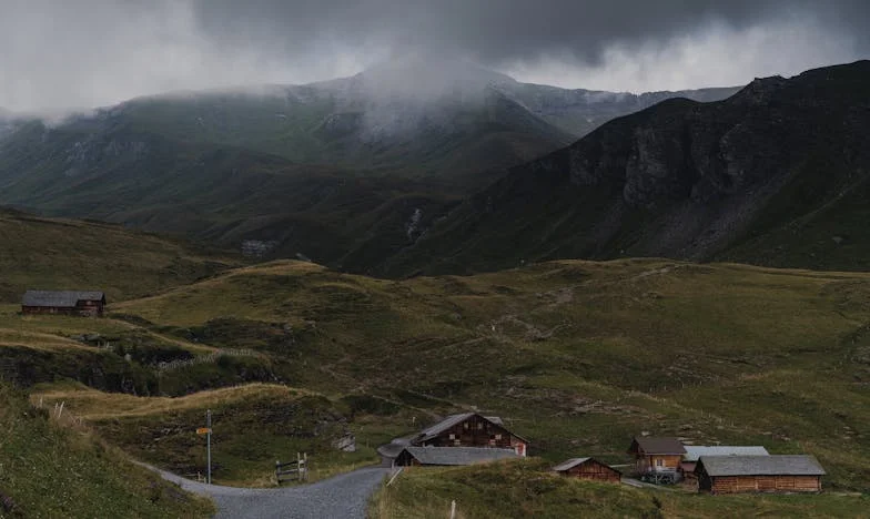 Mijn Wraakplan: Een Schone Lei of Een Vuile Afrekening?