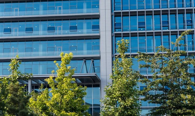 Mijn zoon is weg, maar ik kon mijn kleinzoon niet in de steek laten