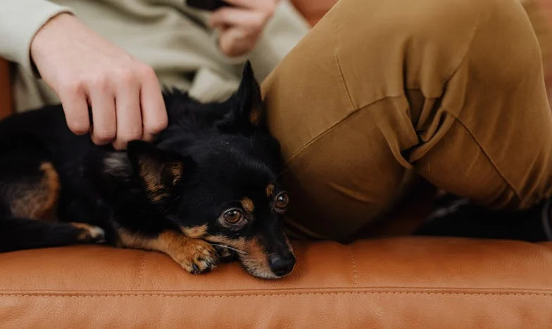 Onverwachte Geboorte: Een Moeder, Een Schoonmoeder en Een Gebroken Vertrouwen