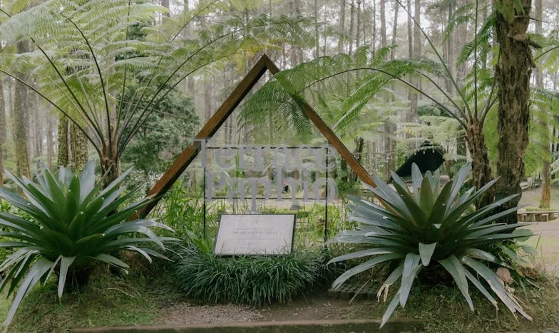 Op het Kruispunt van Opoffering en Eigen Geluk: Mijn Leven als Pilar van het Gezin