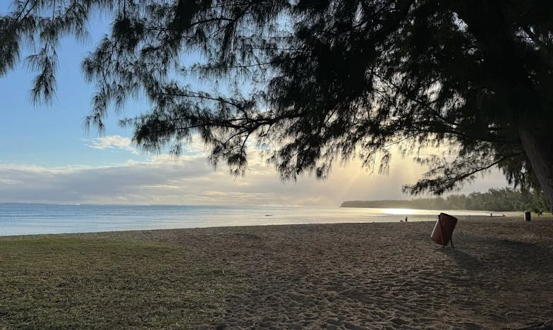 Toen Sanne Mij Op De Bank Liet Slapen – Maar Het Is Toch Mijn Huis?