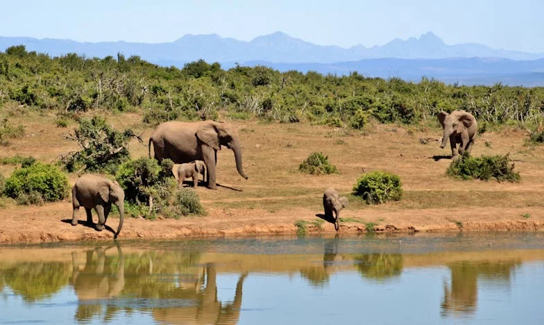 Tussen Liefde en Onbegrip: Mijn Strijd als Grootmoeder