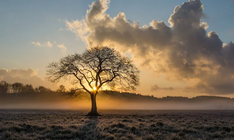 Tussen Twee Huizen: Een Levensverhaal over Familie, Liefde en Onmogelijke Keuzes
