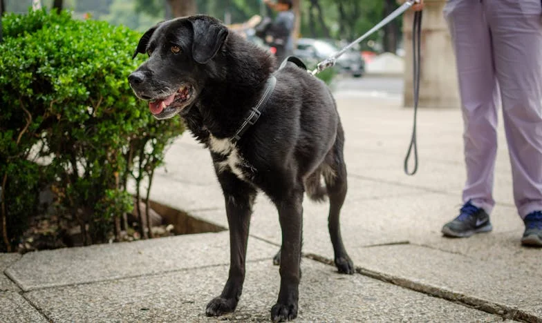 Twee keer een gebroken hart: Hoe kon ik mijn eigen moeder vertrouwen?