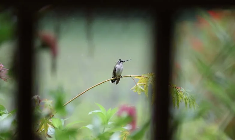 Verborgen Liefde: Het Geheim van Mijn Huwelijk