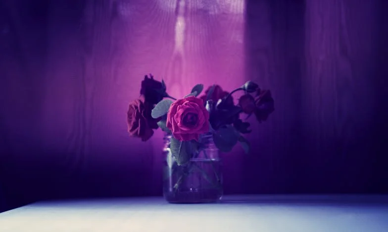 “Waarom ben ik altijd degene die moet buigen?” – Mijn leven als schoondochter in het huis van mijn schoonmoeder