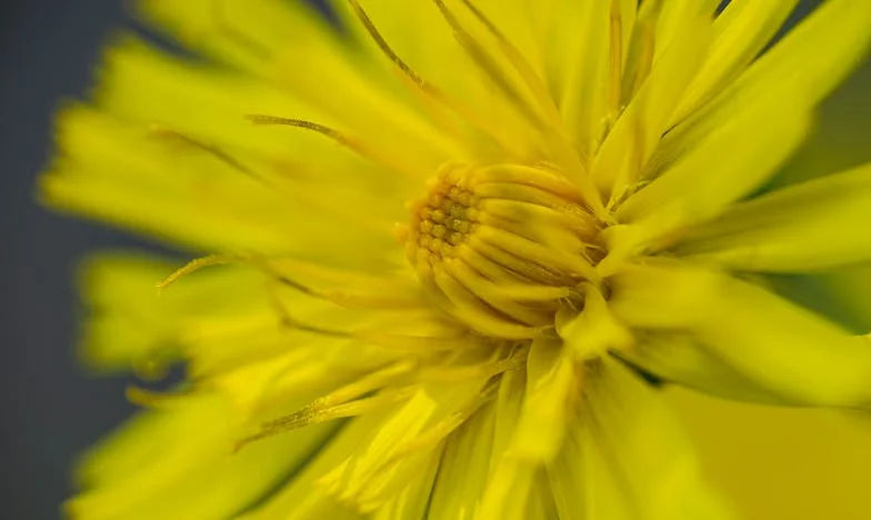 Waarom ben ik altijd degene die moet toegeven? – Het verhaal van een jonge moeder in Utrecht