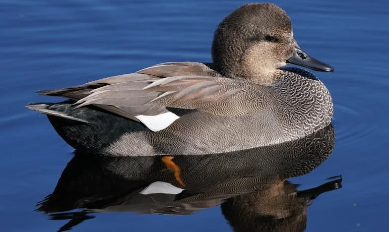 Wat doet mijn man op donderdagavond?