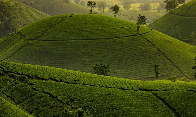 Zilverwitte Daan – Wonder of Vloek? Mijn Strijd om Acceptatie voor Mijn Zoon