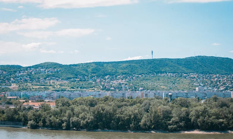Alles voor het gezin: Het verhaal van een vrouw die zichzelf verloor