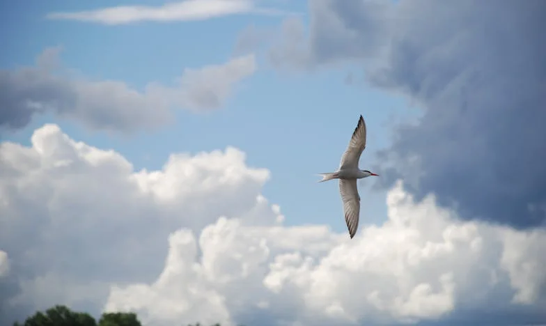 Alles voor mijn dochter – en toch alleen achtergelaten