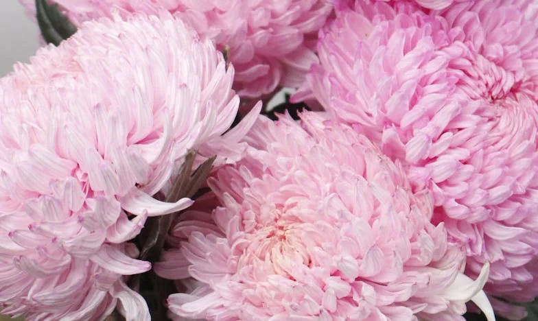 Altijd de oppas: Hoe ik leerde mijn grenzen te stellen