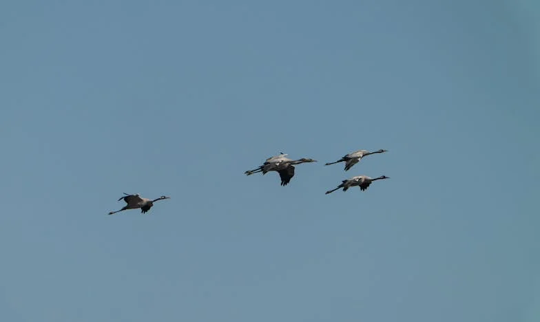 “Eén kleinkind is genoeg!”: Hoe mijn schoonmoeder ons gezin uit elkaar dreef