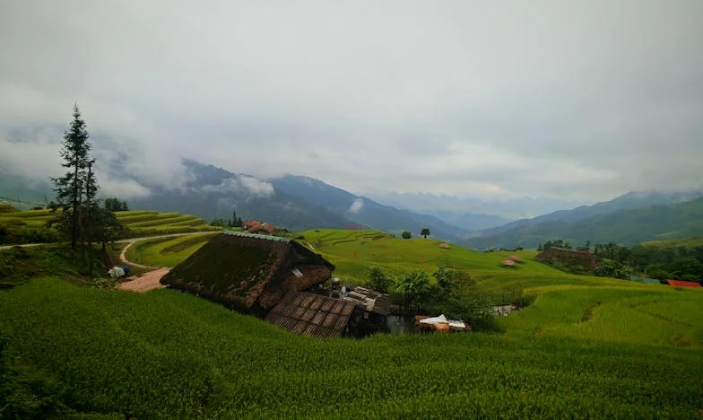 ‘Ik wil geen kinderen’ – Mijn keuze, mijn strijd. Het verhaal van een Nederlandse vrouw die voor zichzelf koos.