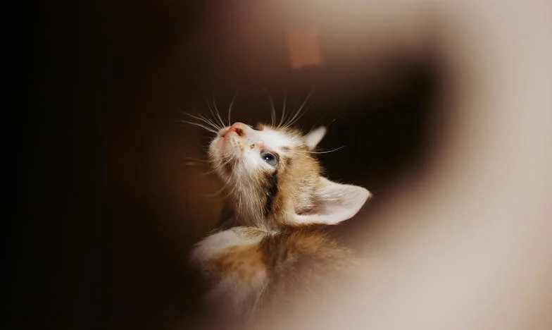 ‘Maar er was toch helemaal geen sprake van een deadline?’ – Hoe ik mijn spaargeld aan mijn schoonzoon leende en alles verloor