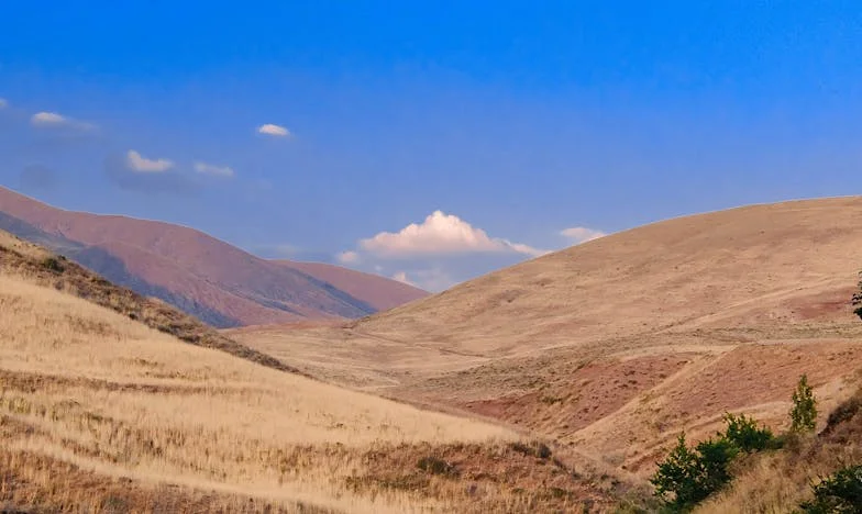 “Mam, het is genoeg!” – Wanneer grenzen trekken in de familie onvermijdelijk wordt