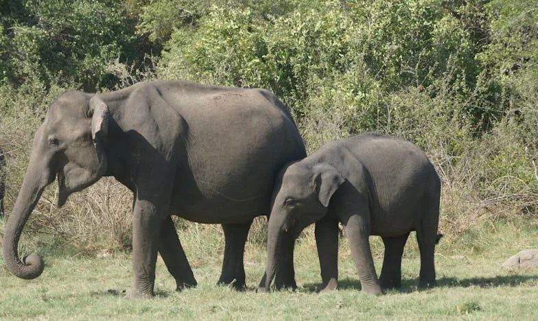“Mama, waarom was je in mijn huis?” – Een verhaal over vertrouwen, familie en verraad