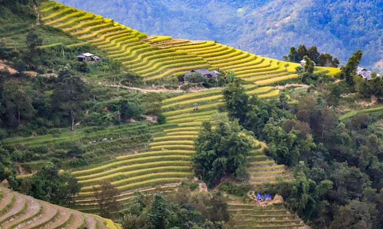 Mijn verloren dochter: Een moederhart in stukken