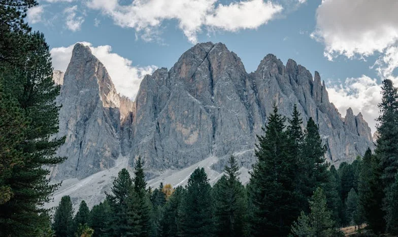 Oma’s Onverwachte Wraak: Een Les in Nederigheid
