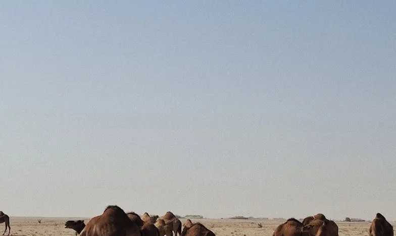 Schoonmoeder versus liefde: Hoe de strijd om een erfenis mijn huwelijk bijna vernietigde