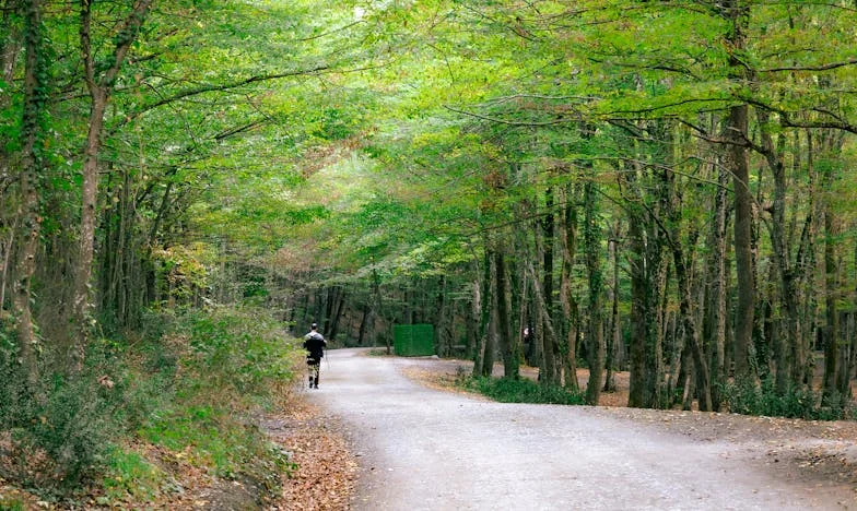 Toen mijn wereld instortte: De dag dat Marijke alles veranderde