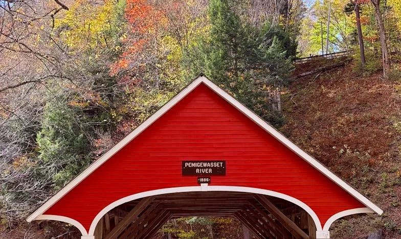 Tussen Twee Vuren: Terug naar Mijn Oude Gezin