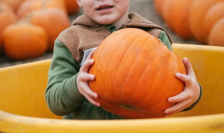 Verlaten in de regen: het verhaal van een gebroken gezin
