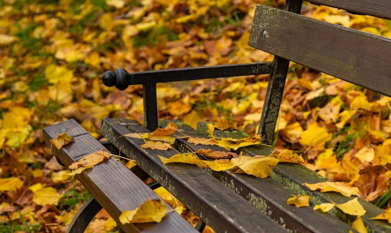 Verloren zusterband: Een verhaal over vriendschap, geweld en tweede kansen in Rotterdam