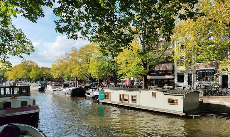 Wanneer het hart niet vergeeft: Het verhaal van een moeder die vertrok met haar baby