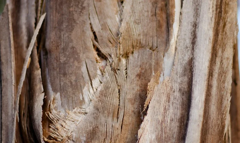 De brief die mijn leven brak: Wanneer je eigen moeder alimentatie eist