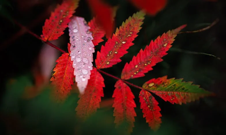 De brief die mijn leven brak: Wanneer je eigen moeder alimentatie eist van haar dochter