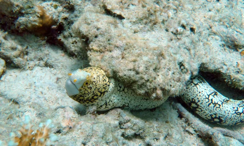 De Helft Van Het Huis Voor Mijn Halfbroer: Een Verhaal Over Mijn Vaders Keuze Die Alles Veranderde