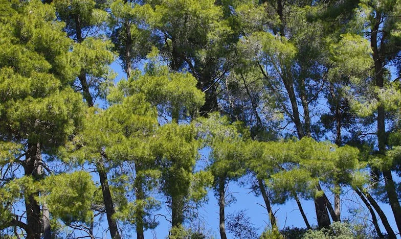 De Onthulling van Mijn Schoonzus: Hoe Eén Leugen Onze Familie Op Zijn Kop Zette