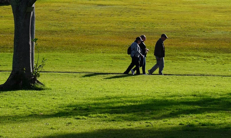 De Onzichtbare Huisvrouw: Een Gebroken Verjaardag