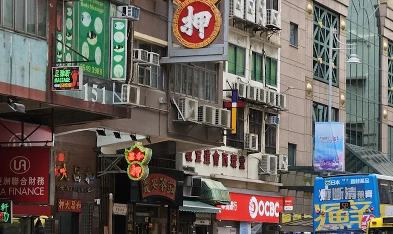 De Portemonnee van Mijn Man en Mijn Gouden Kooi: Mijn Strijd om Vrijheid in een Koud Huwelijk