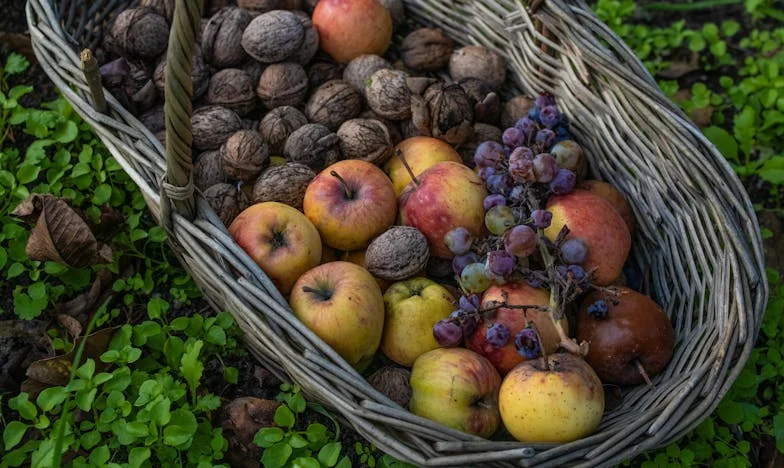 Hart op de Tong: Mijn Broer Daan en de Stilte na het Schot