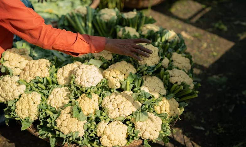 Het huis dat ons gezin brak – Een moeder biecht op