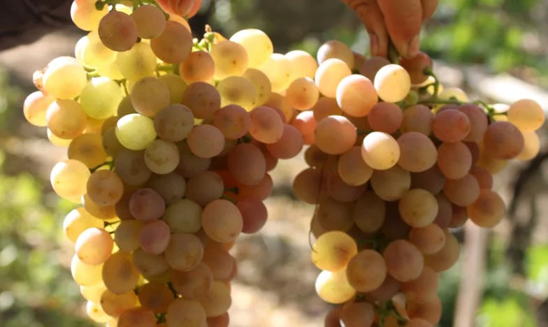 Je hebt een maand om mijn huis te verlaten – Een verhaal over verraad en een nieuw begin