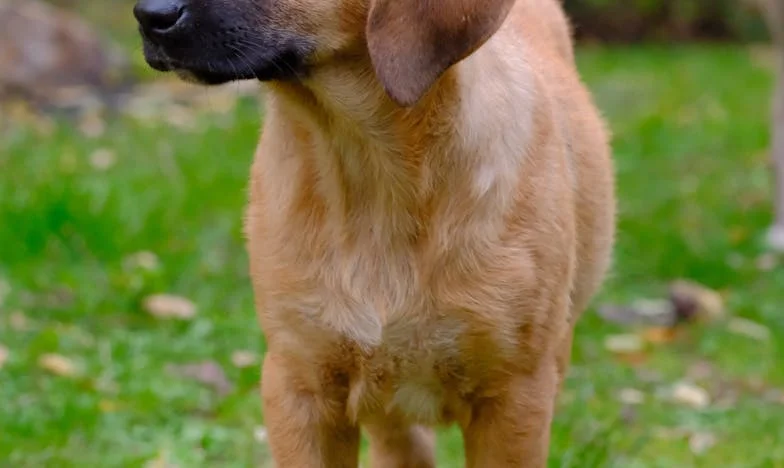 "Sinds mijn achttiende betaalde ik huur aan mijn vader. Nu verwacht hij dat ik hem onderhoud" – Mijn verhaal over familie, geld en oude wonden
