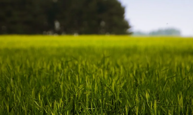 Toen Opa Bij Ons Kwam Wonen: Liefde, Conflicten en Geheimen in Ons Kleine Appartement