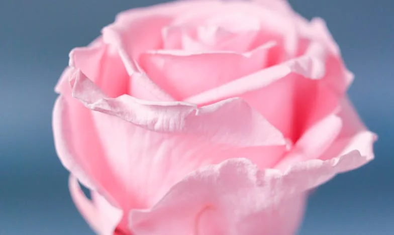 Tussen Liefde en Loyaliteit: Mijn Gevecht Tussen Mijn Man en Mijn Familie