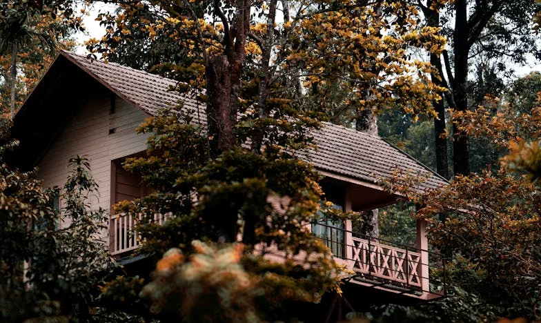 Tussen Schoonmoeder en Gezond Verstand: Hoe ik besloot mijn 'moederszoon' te verlaten