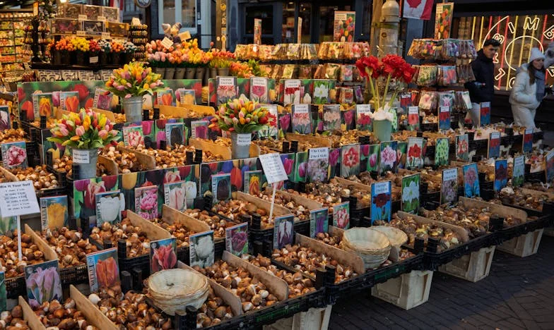 Tussen Twee Werelden: Overleven met de Prikkende Stem van Mijn Moeder