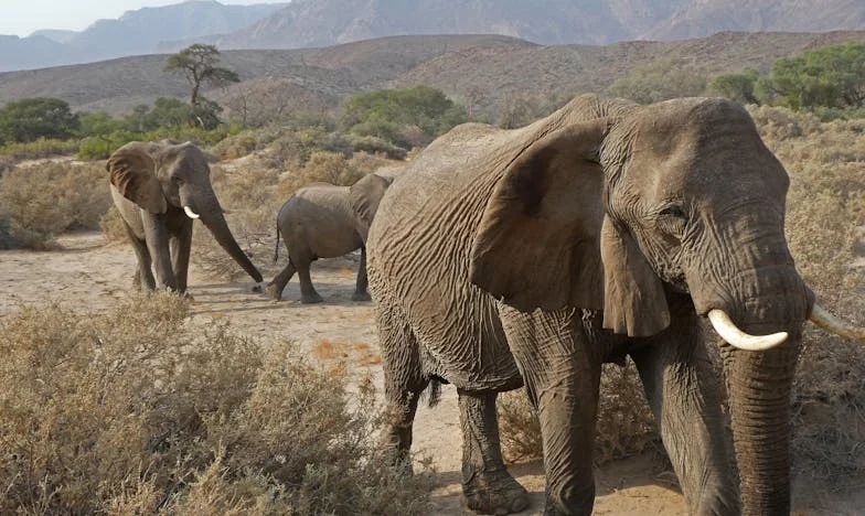 "Verkoop het huis en help je broer" – Een verhaal over familie, schulden en het gevecht om mezelf niet te verliezen