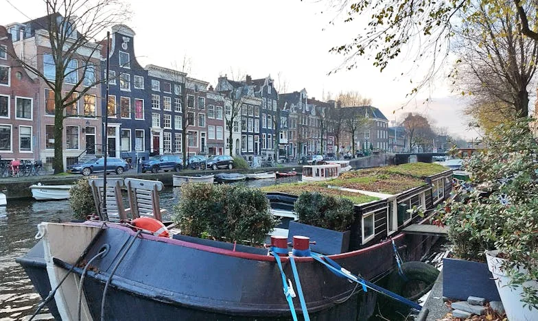 Verlies en wedergeboorte: Hoe ik mijn eigen toekomst werd – het ware verhaal van een Nederlandse vrouw